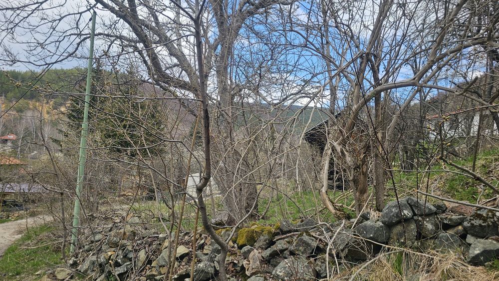 Продава се Парцел в с. Чуйпетлово, Област Перник - 444 кв.м за 120 €/кв.м - Снимка #3