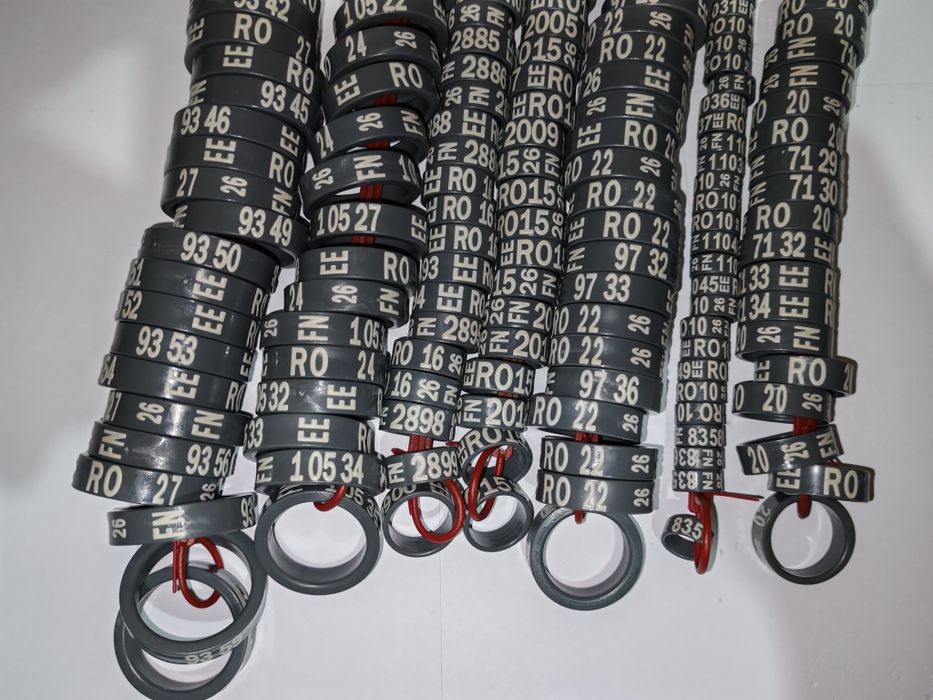 Inele pentru găini de rasă