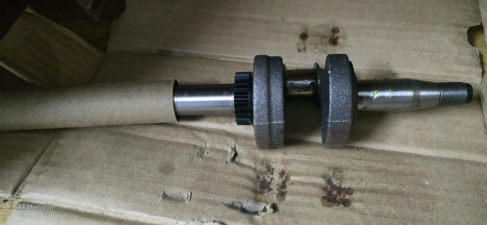 Vand arbore cotit Briggs & Stratton