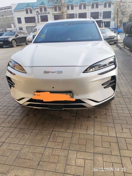 Byd song plus champion 23/24