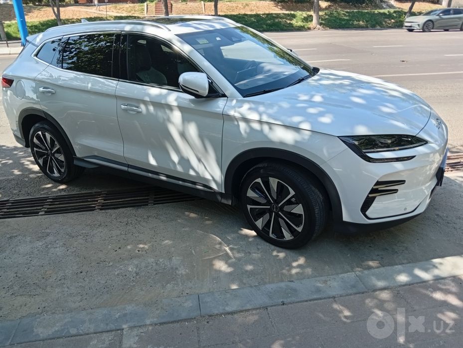 BYD Chamoion restaling