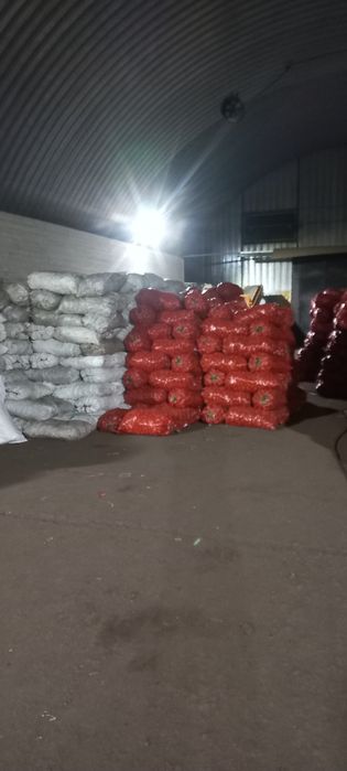 Продам Картофель