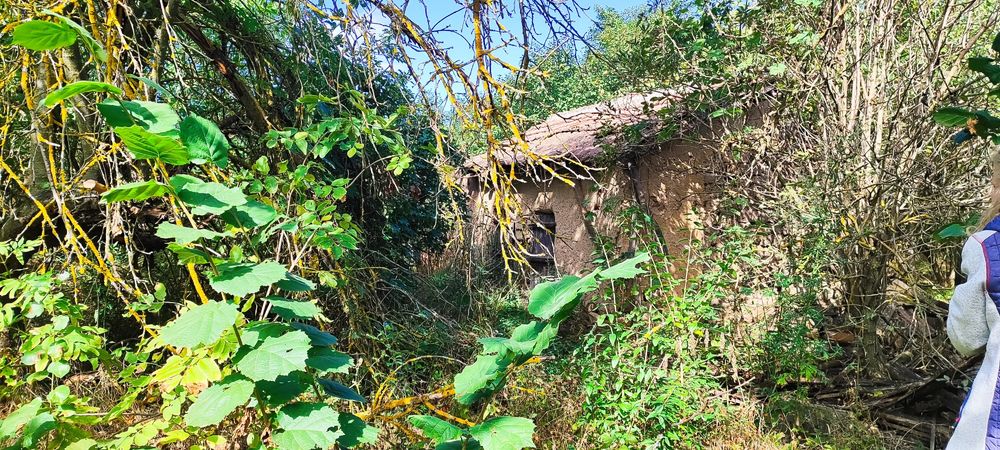 Продава се Парцел в с. Медово, Област Добрич - 2540 кв.м за 2 €/кв.м - Снимка #11