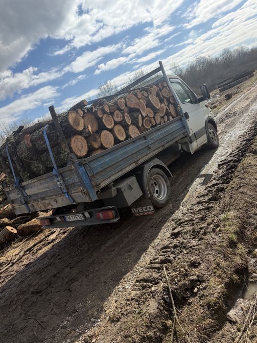 Lemn de foc  esenta tare