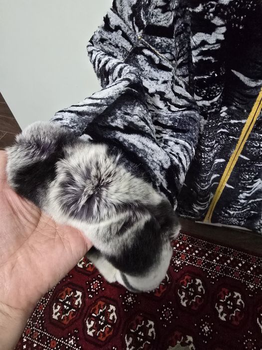 Продается верхняя одежда