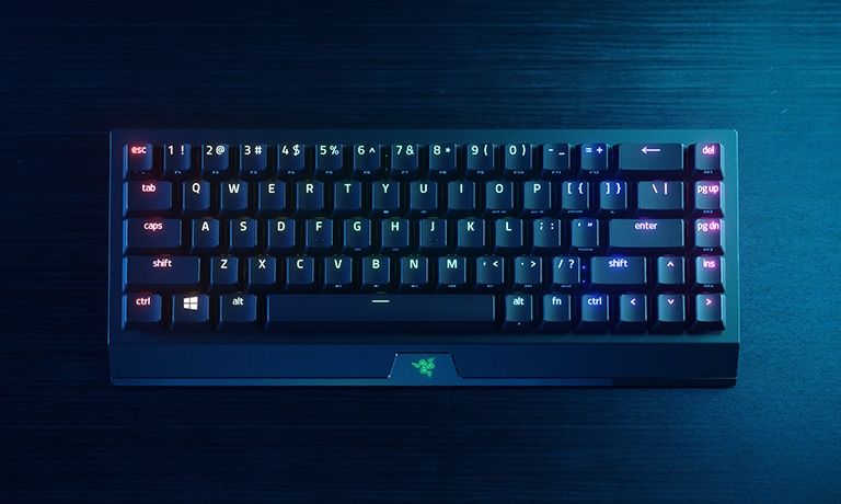Razer BlackWindow V3 Mini