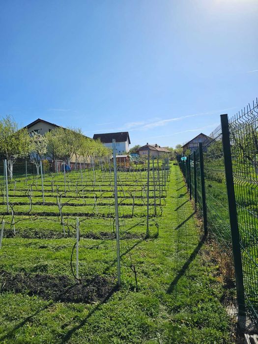 Vand teren impreuna cu proiect de casa in curs de autorizare in Tureni, jud. Cluj