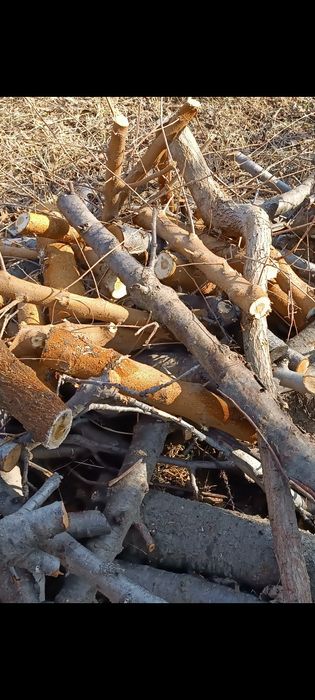 Утин, дрова, фруктовый Янгиюль