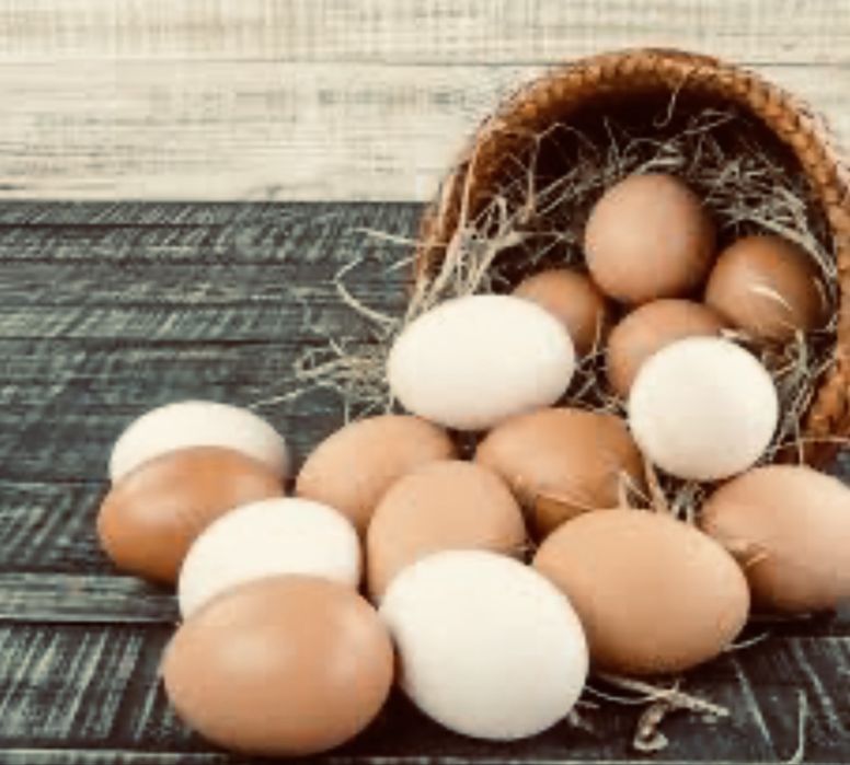 Brama tuxumlari ochirish uchun