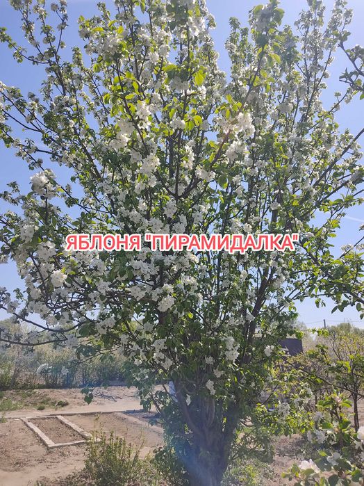 Продам дачу на Бобровке