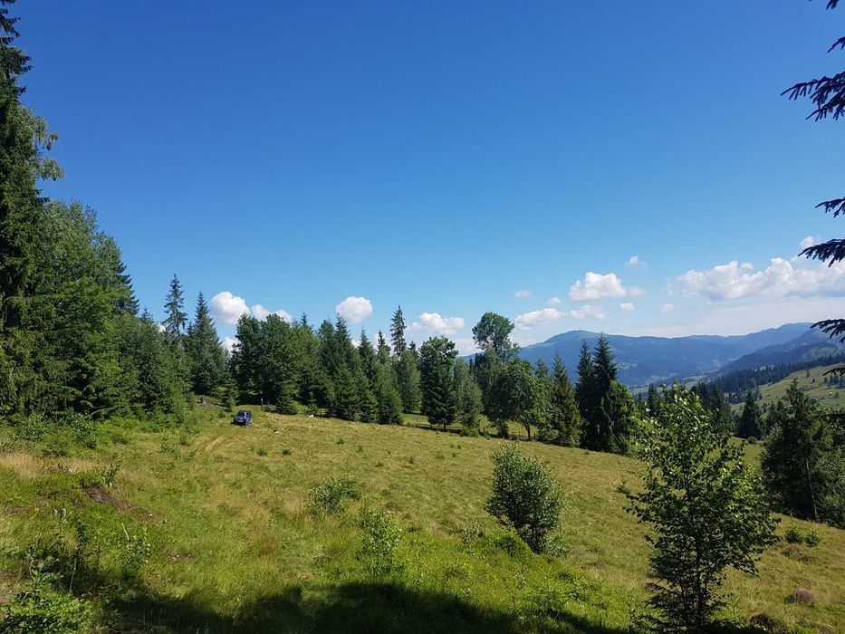 Vânzare teren 6.17 ha Dorna-Arini | Compact | Pădure și Pășune