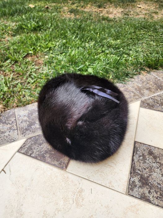 Andatra telpak   350.000 soʻm  yekazib berish  12 ta viloyatga  tekin