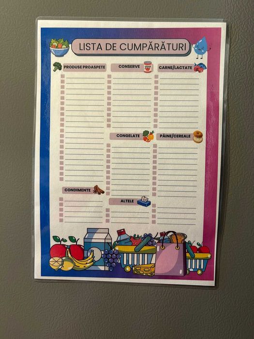 Set 3 fise planner de frigider fetita