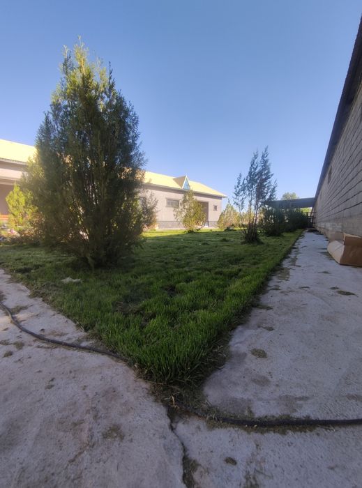 Газон егеміз кв 1000 тенге