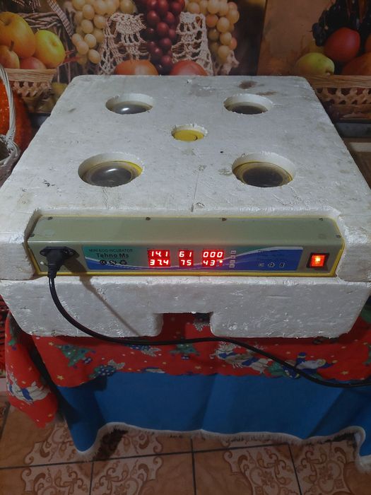 Incubator tehno ms 98