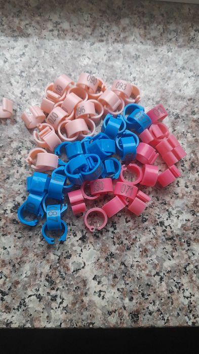 Vand ineleporumbei Romania