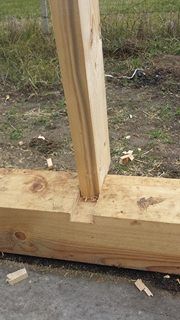 case de lemn de locuit cu osb