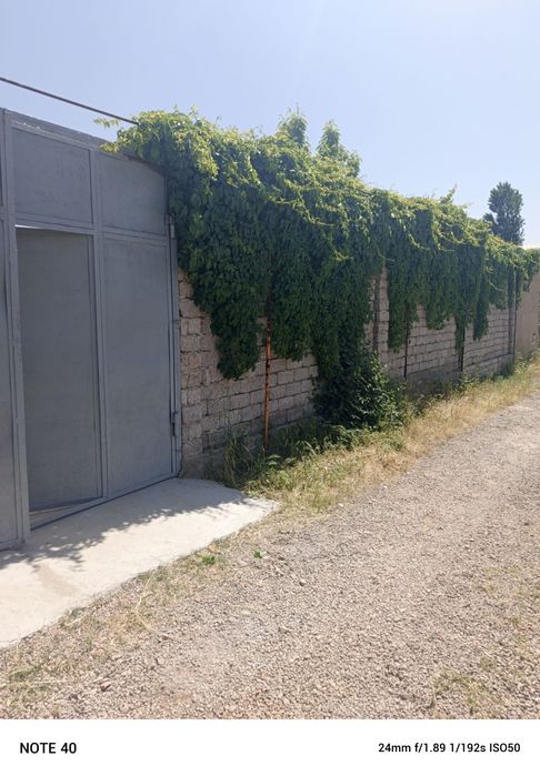 Toytepa dacha 6 sotix srochna