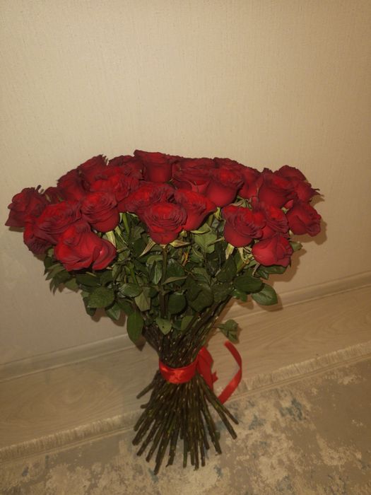 Красные розы 51шт