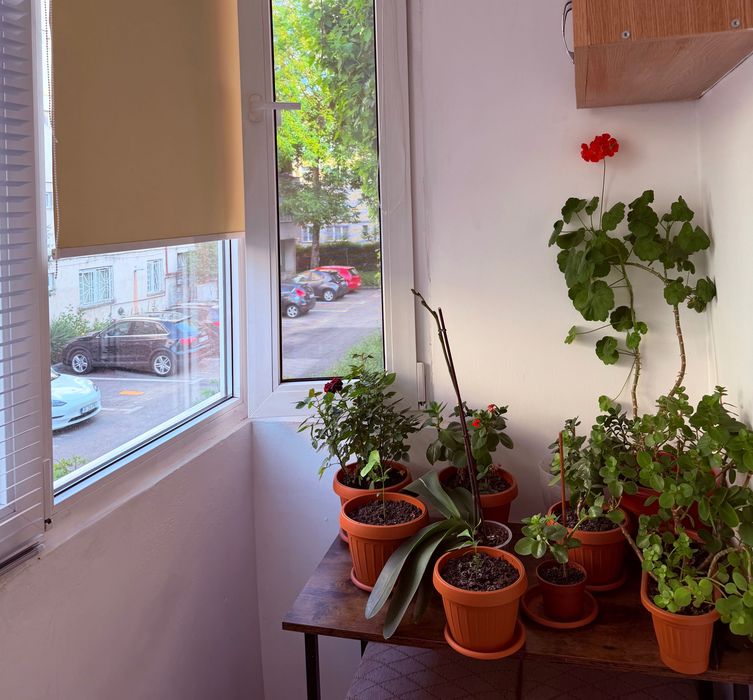 Apartament de închiriat