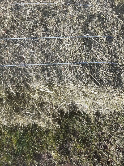 vând baloti de lucerna