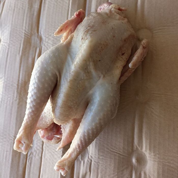 Утки,гуси куры домашняя