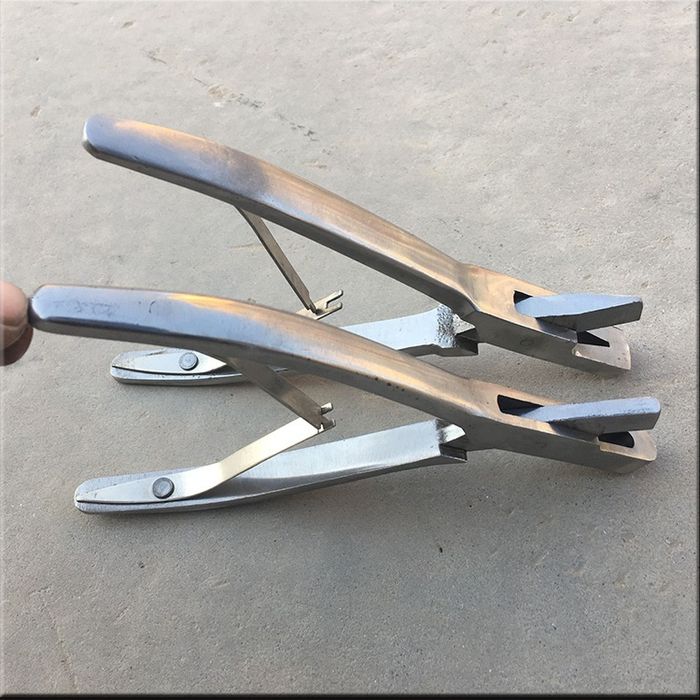 елдос ат жабдықтары