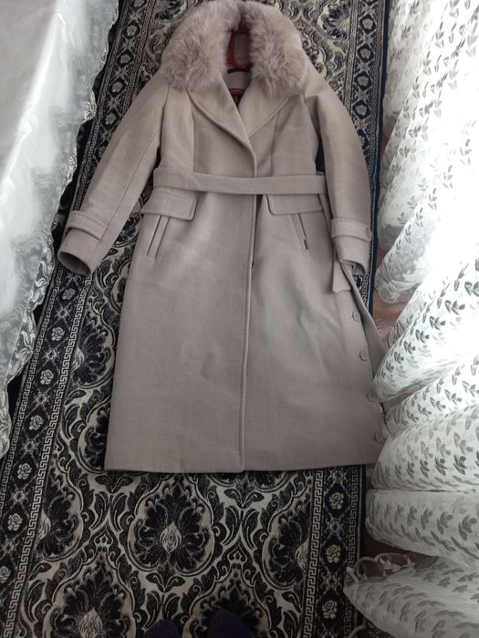 Sarpobon palto yangi