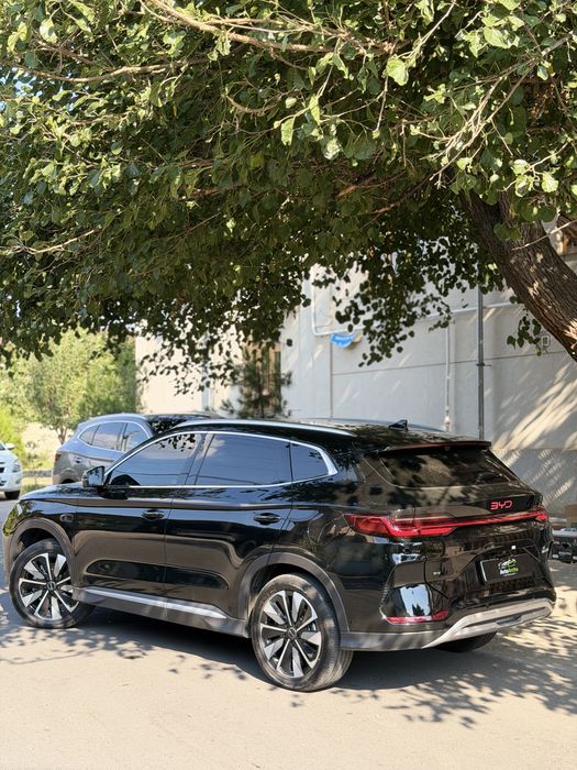Byd champion Smart