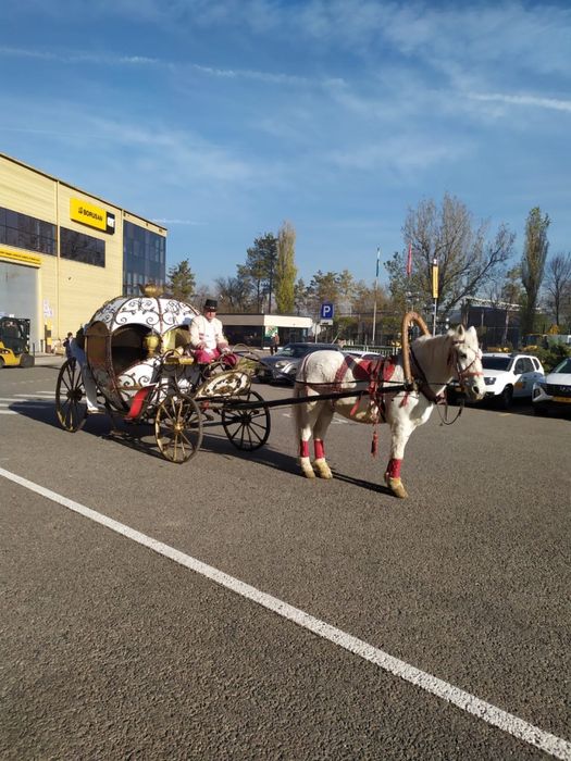 Аренда, кареты, пони