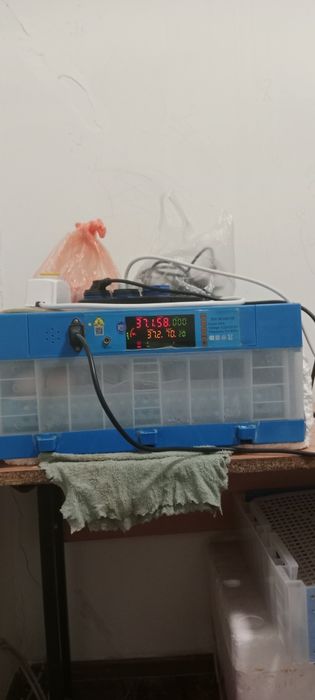 Инкубатор сатылады 128 шт сияды