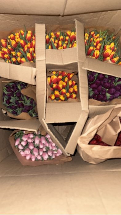 Тюльпаны на 8 марта