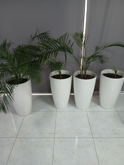 Ликвидация товаров для офиса