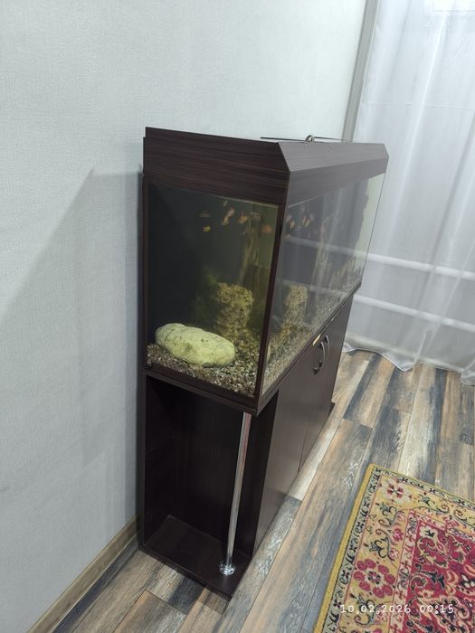 Аквариум 250 литров (стекло)