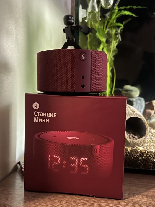 Станция-Мини Яндекс Бордовая