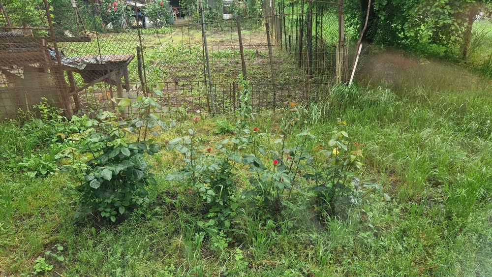 Vând apartament 2 camere – Urziceni, zona Primărie