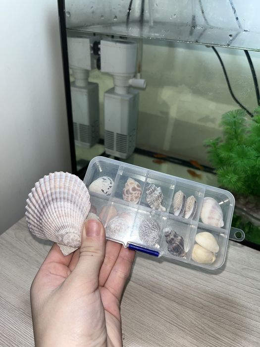 Аквариум 20 л-с рыбками