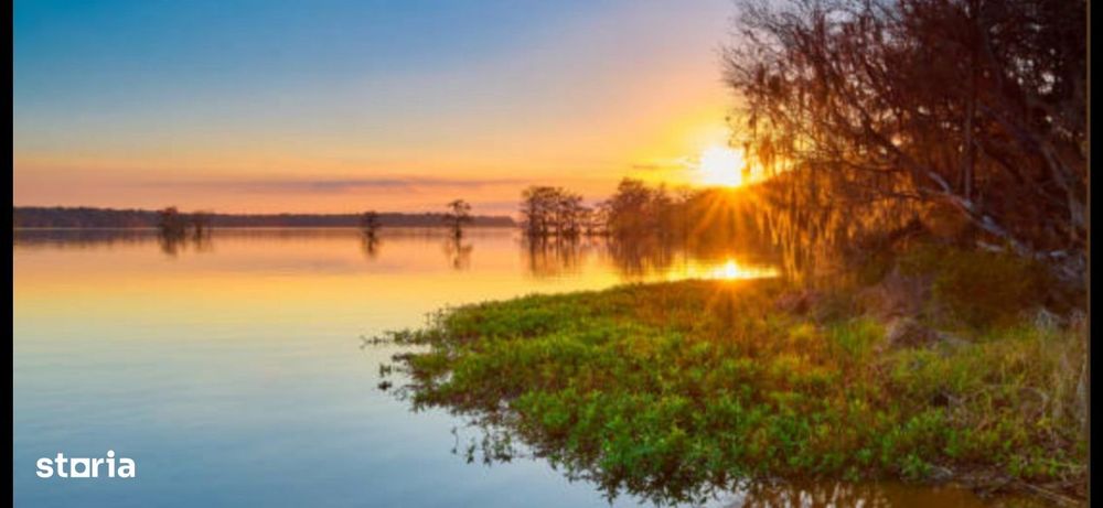 SISESTI teren.  5000mp iesire la LAC