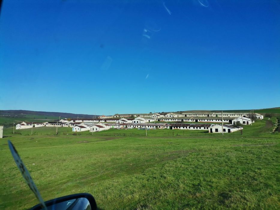 Продава се Парцел в с. Хаджиите, Област Бургас - 6600 кв.м за 16 €/кв.м - Снимка #1