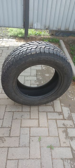Продам шины зимние шипованные