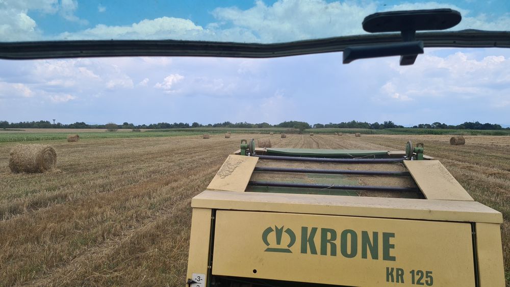 Vând baloți de paie 125/125