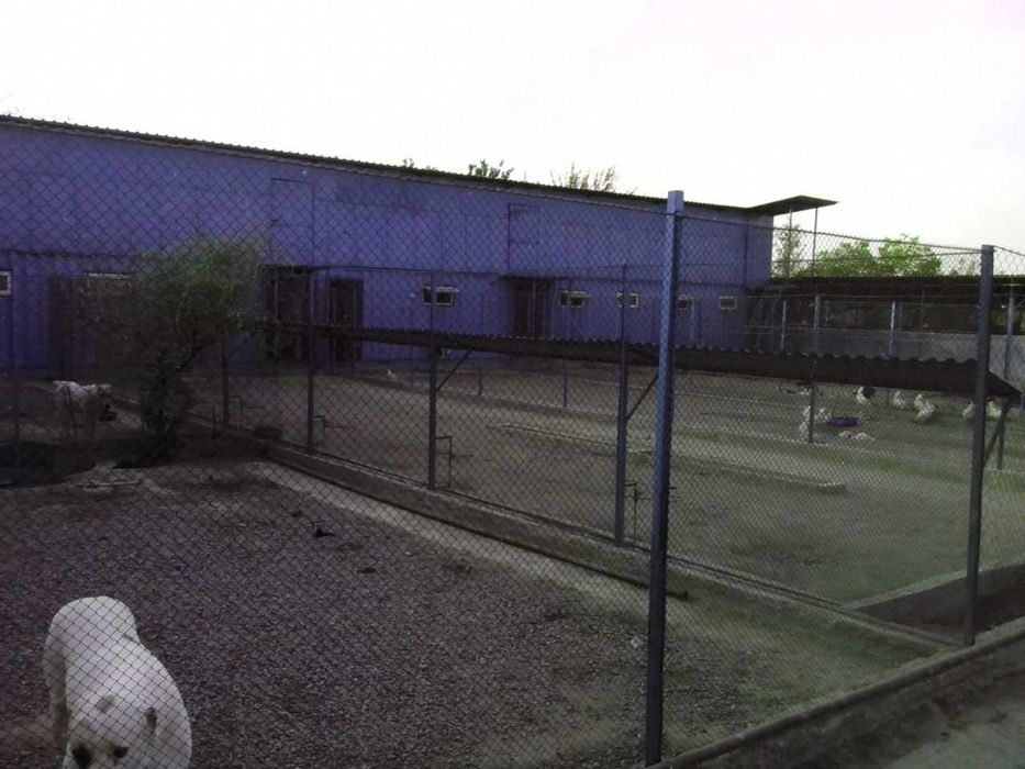 Продам действующий бизнес.