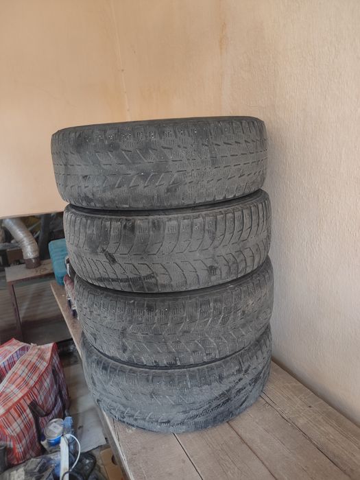 Зимние шины Triangle 195/65R15