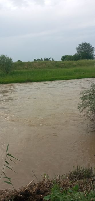 23 sotxli yer sotiladi