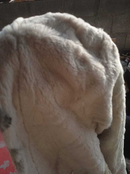 воротник из меха