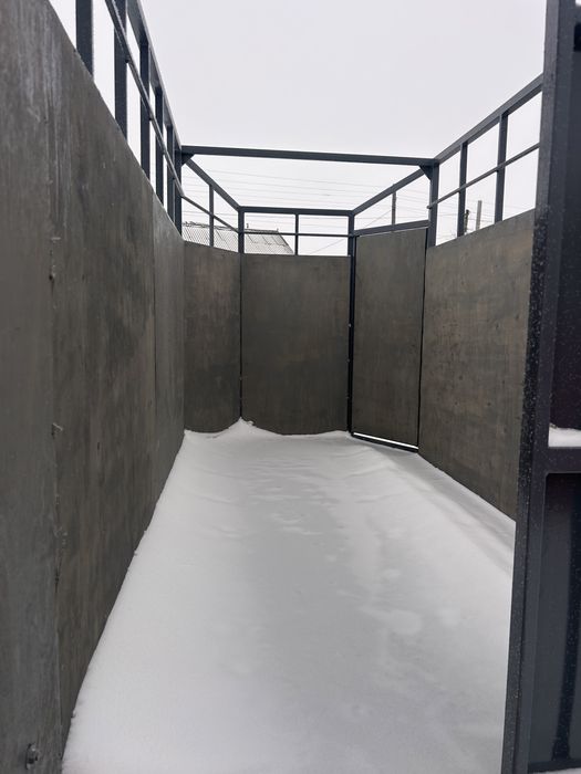 Прицеп коневоз скотовоз