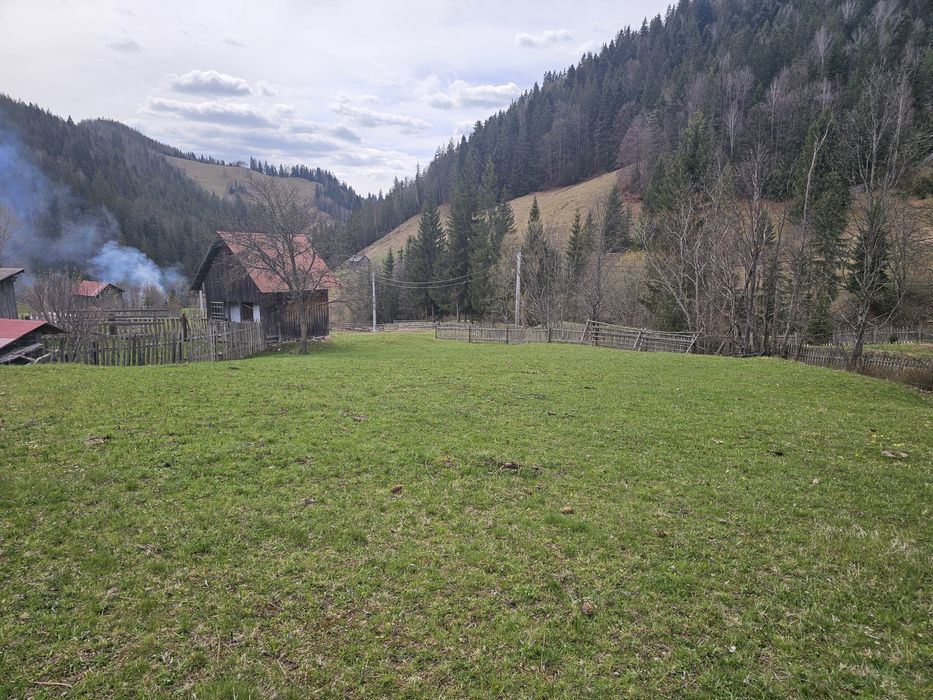 Teren de vanzare in Bucovina Fundu Moldovei