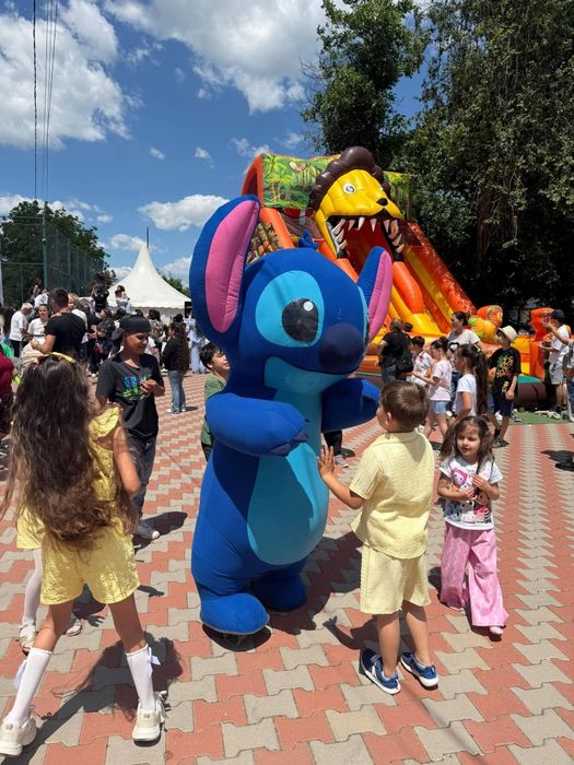 Inchiriere tobogan gonflabil Bucuresti Ilfov