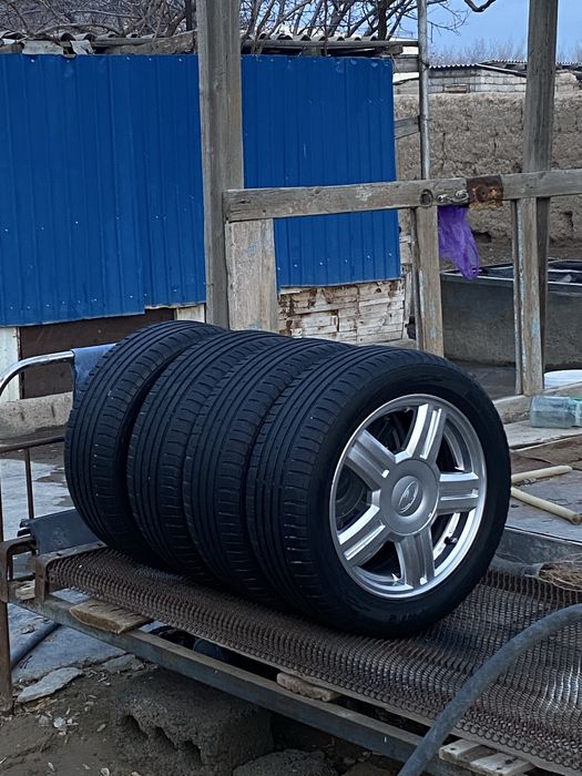 Торус титанка торес титанкы титанки