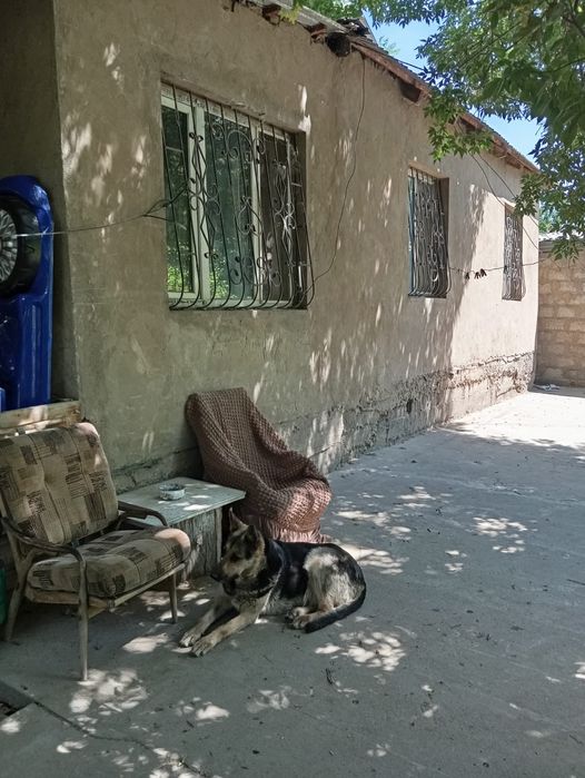 Дом уютный в городе